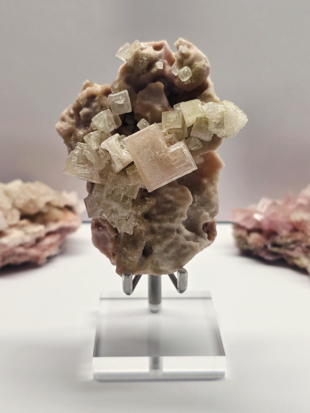 Specimen No. 016