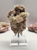 Specimen No. 016