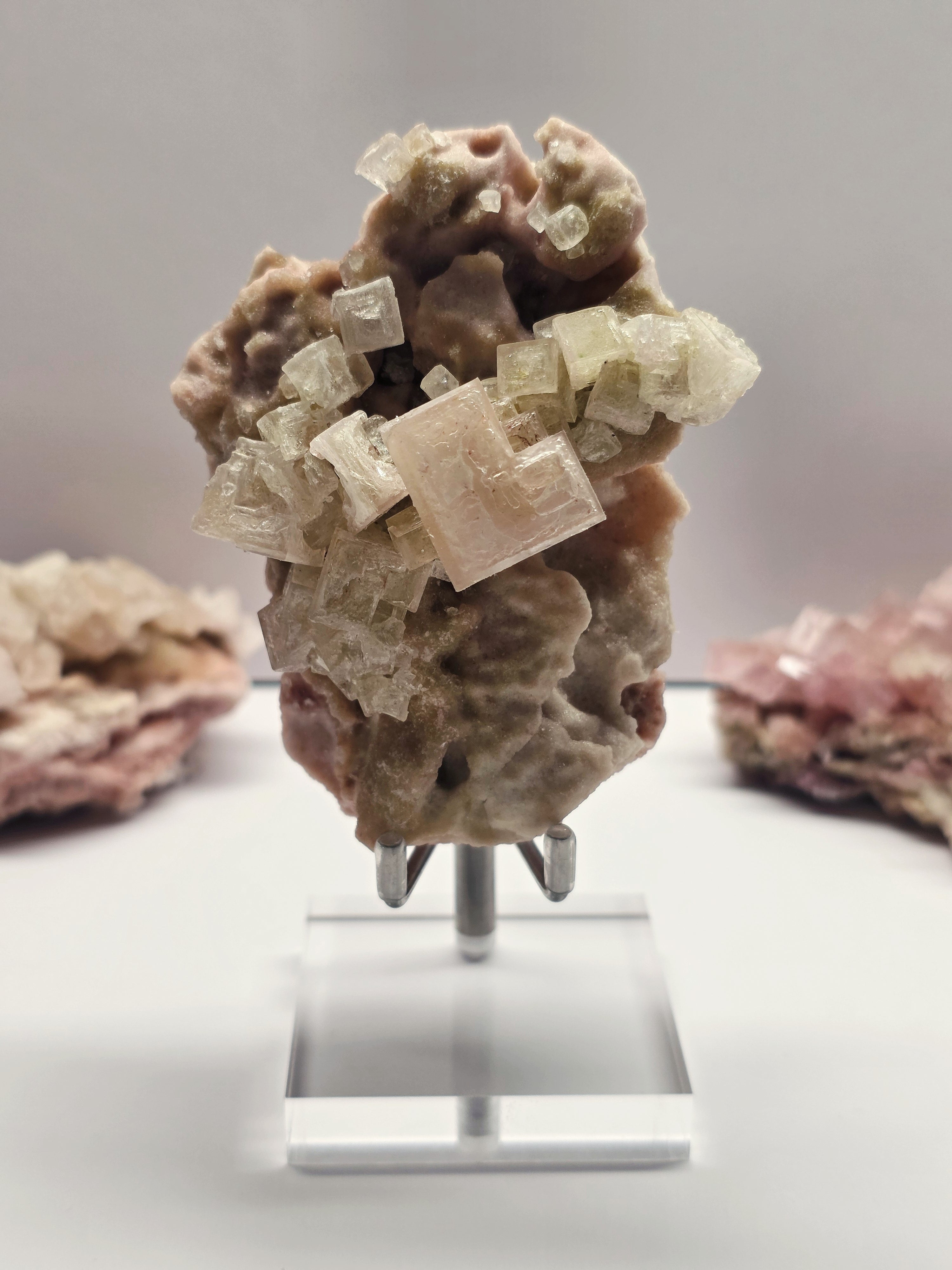Specimen No. 016