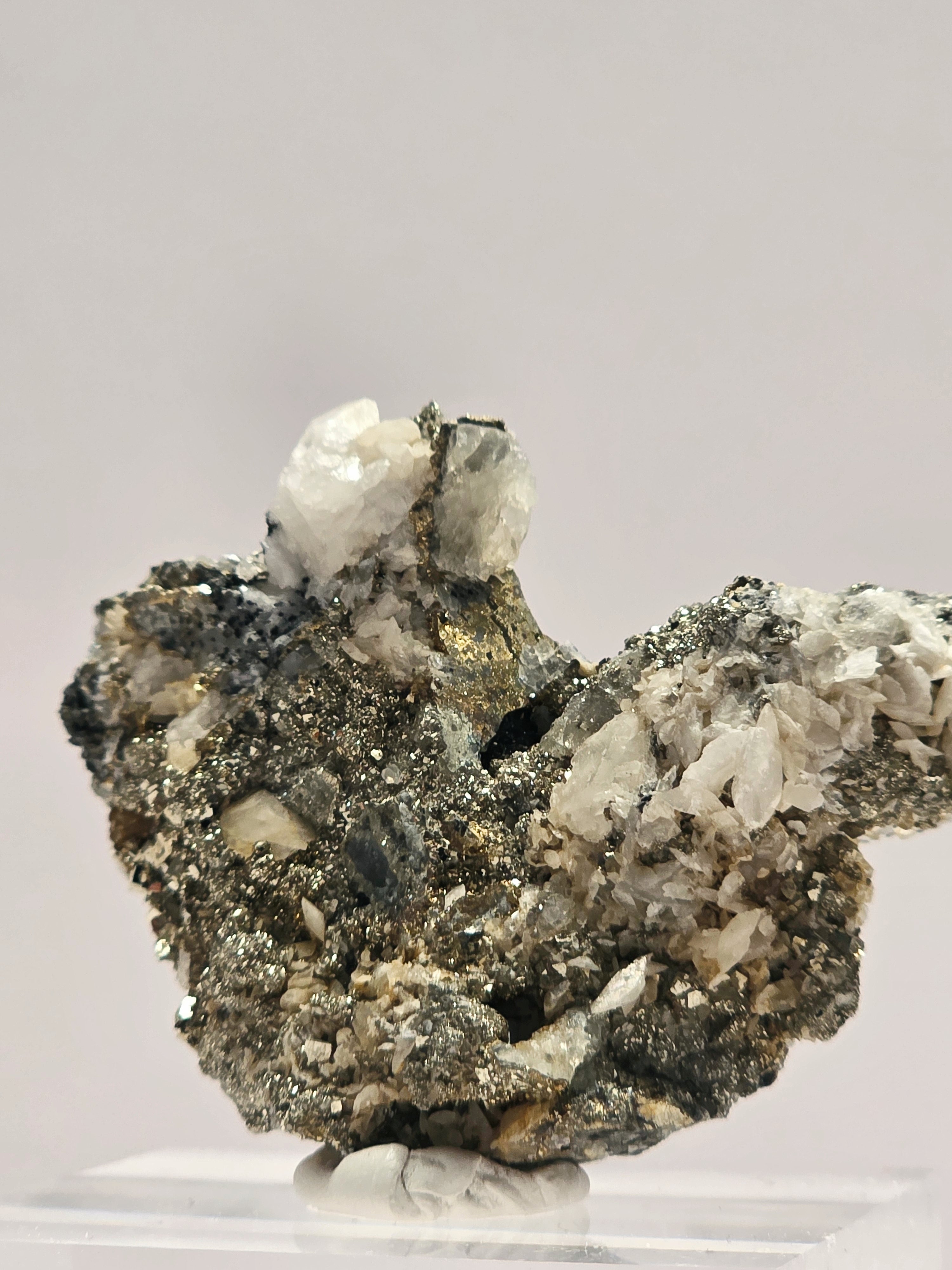 Specimen No. 025
