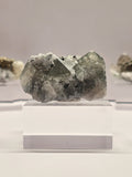 Specimen No. 026