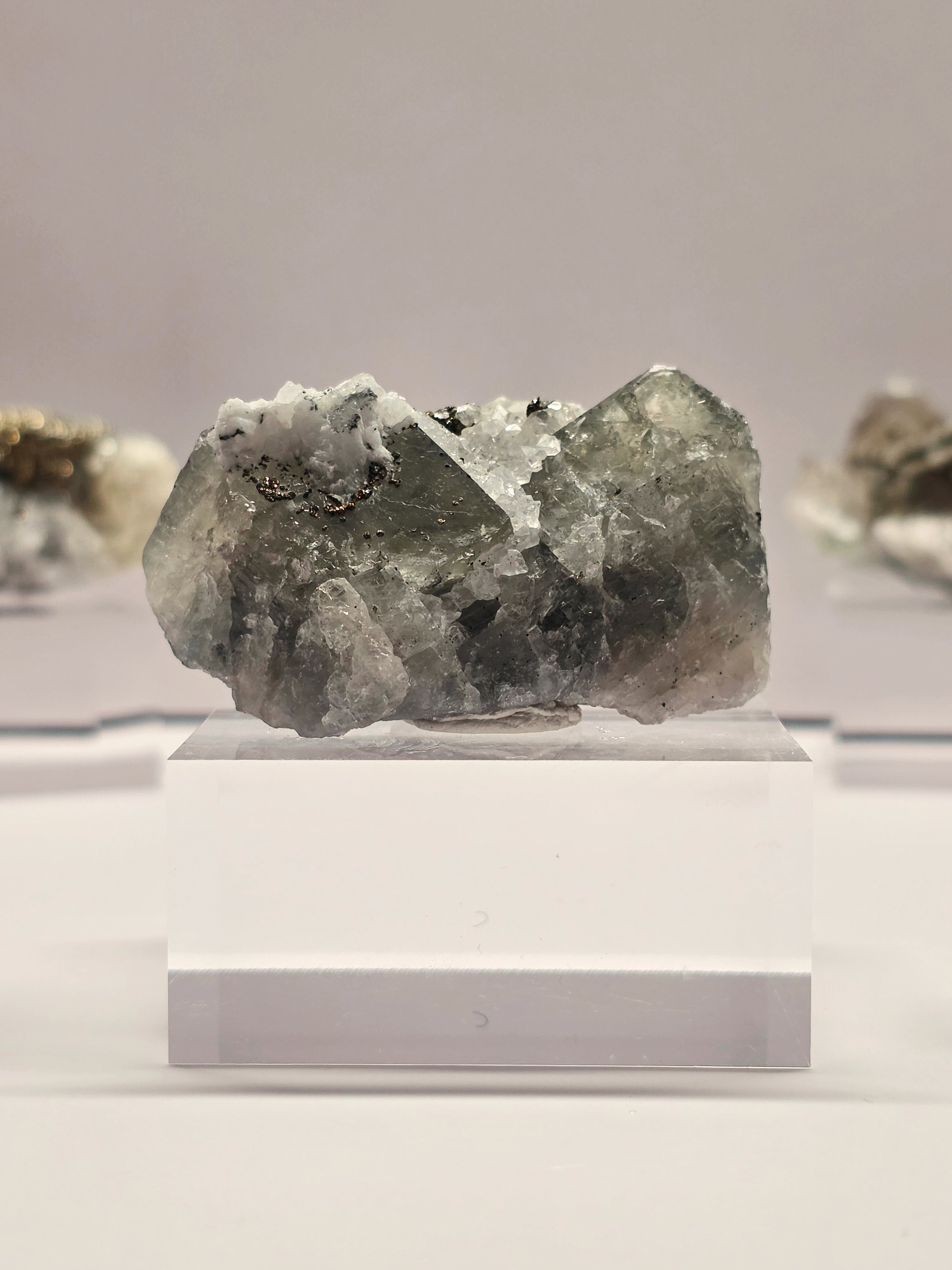 Specimen No. 026