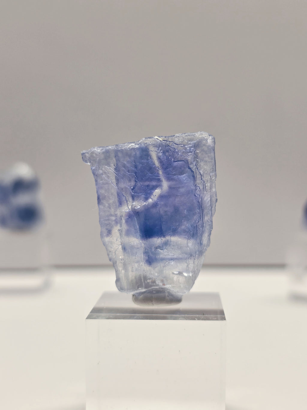Specimen No. 004