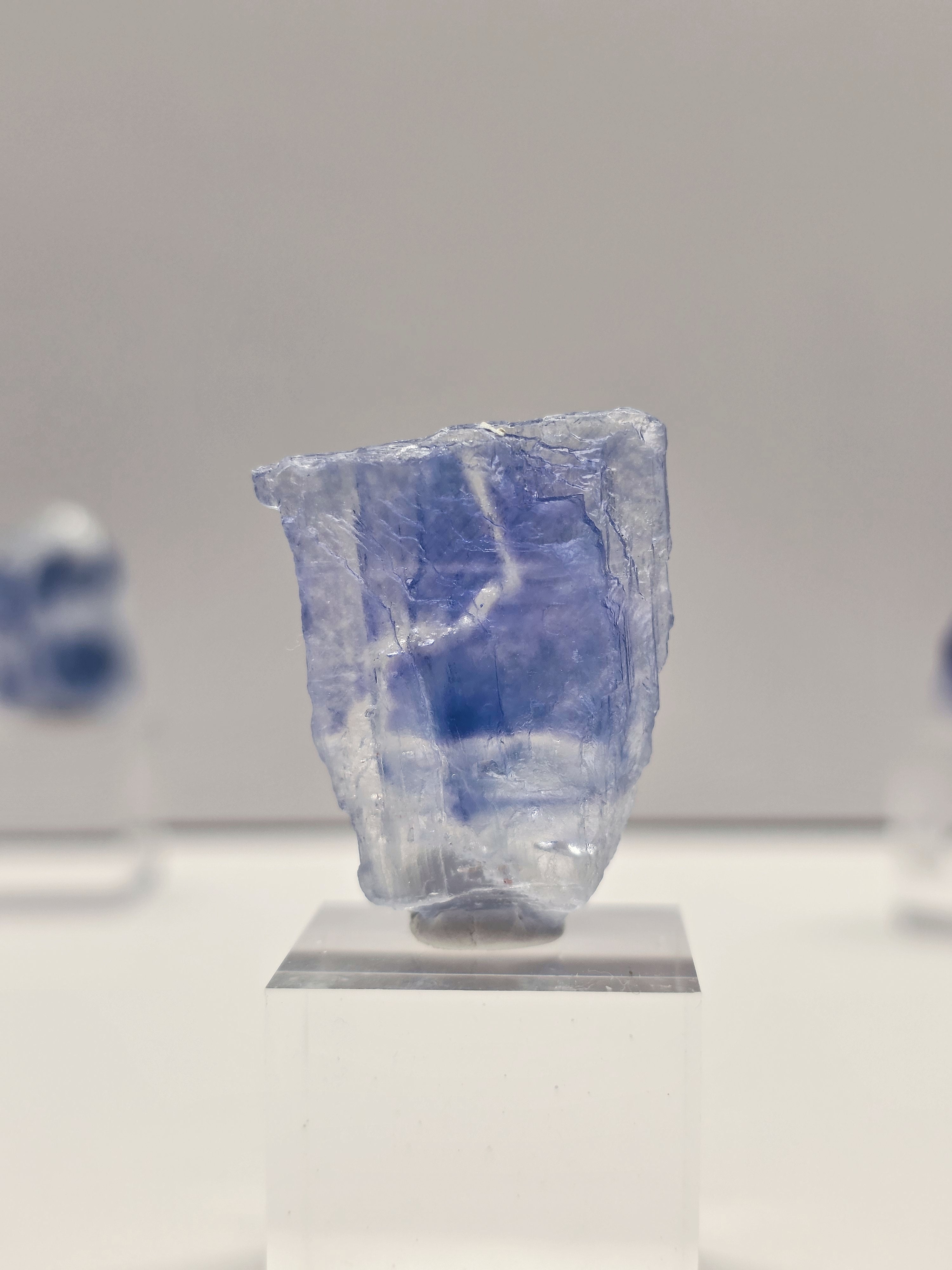 Specimen No. 004