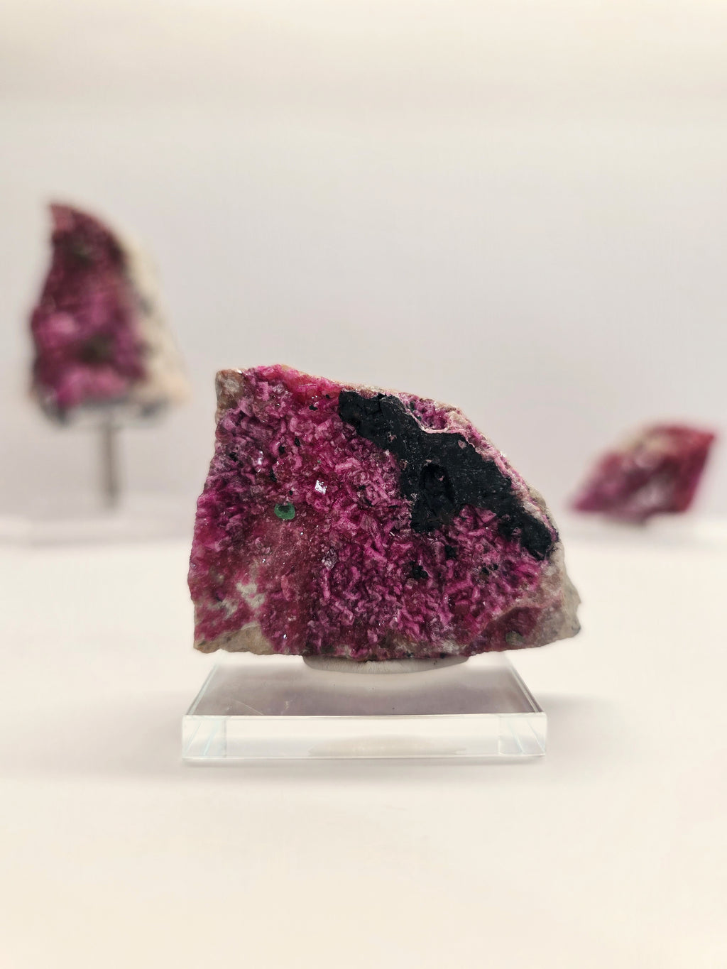 Specimen No. 158