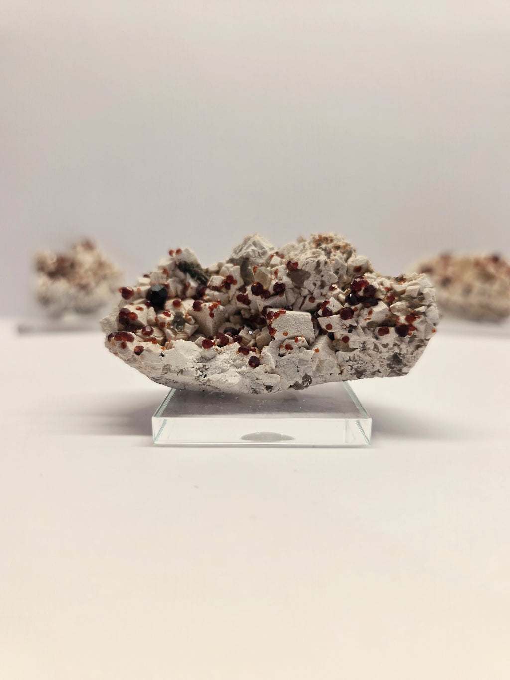 Specimen No. 169