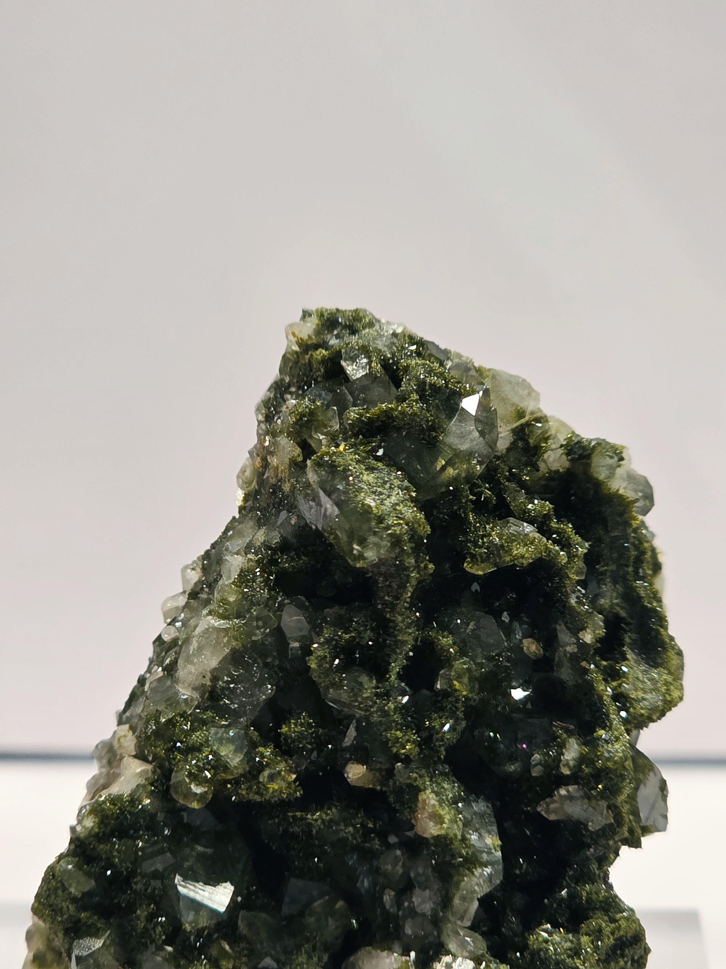 Specimen No. 051