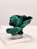 Specimen No. 238