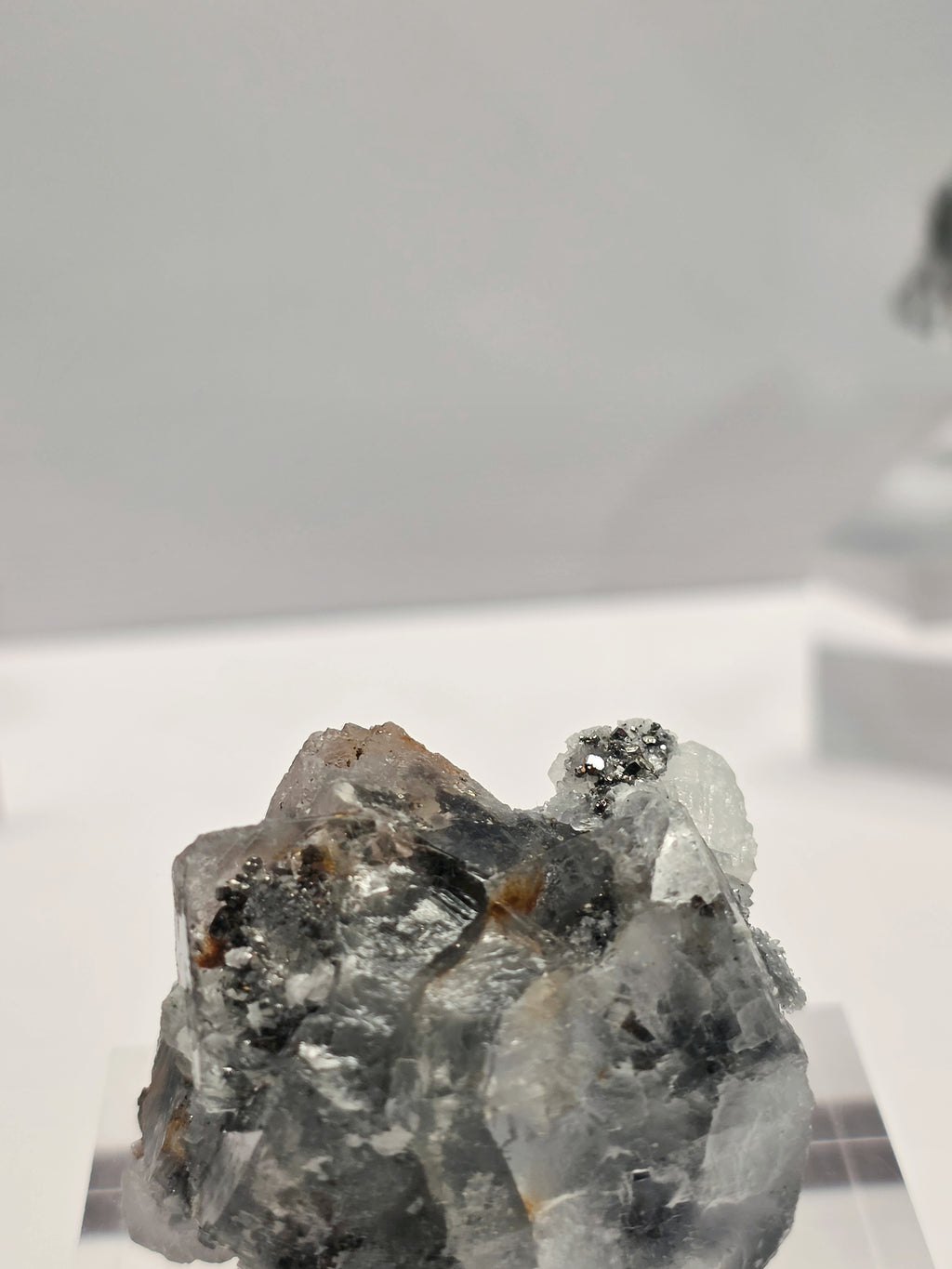 Specimen No. 107