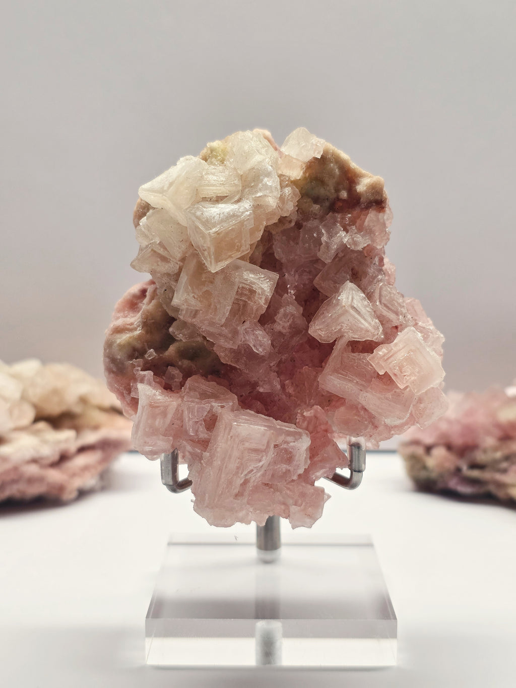 Specimen No. 013