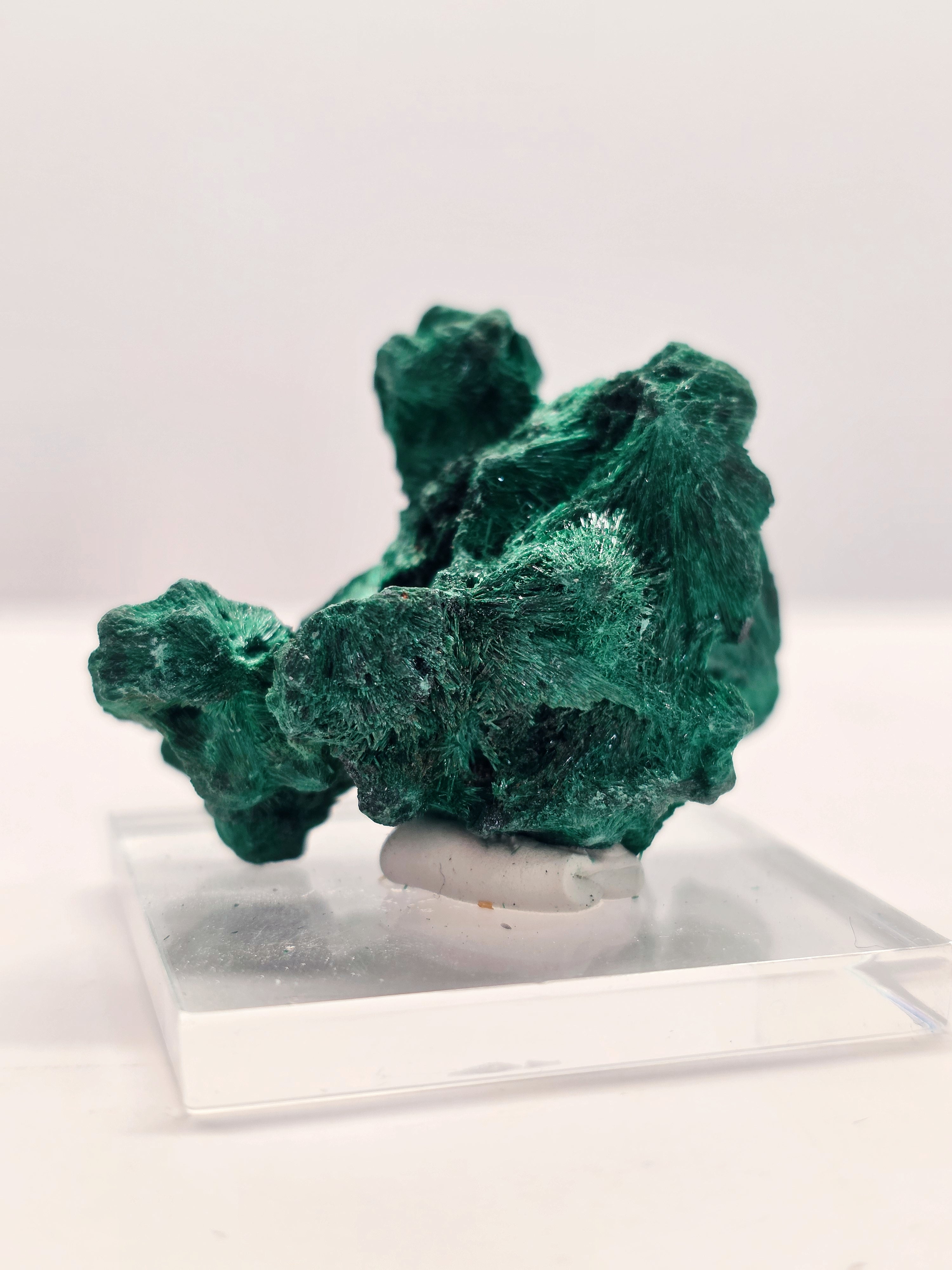 Specimen No. 236