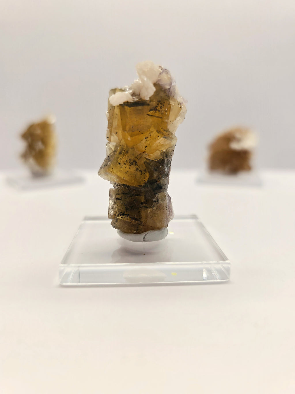 Specimen No. 193