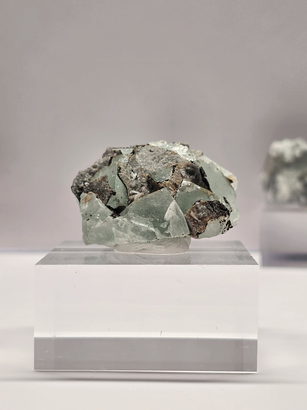 Specimen No. 023