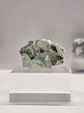 Specimen No. 023