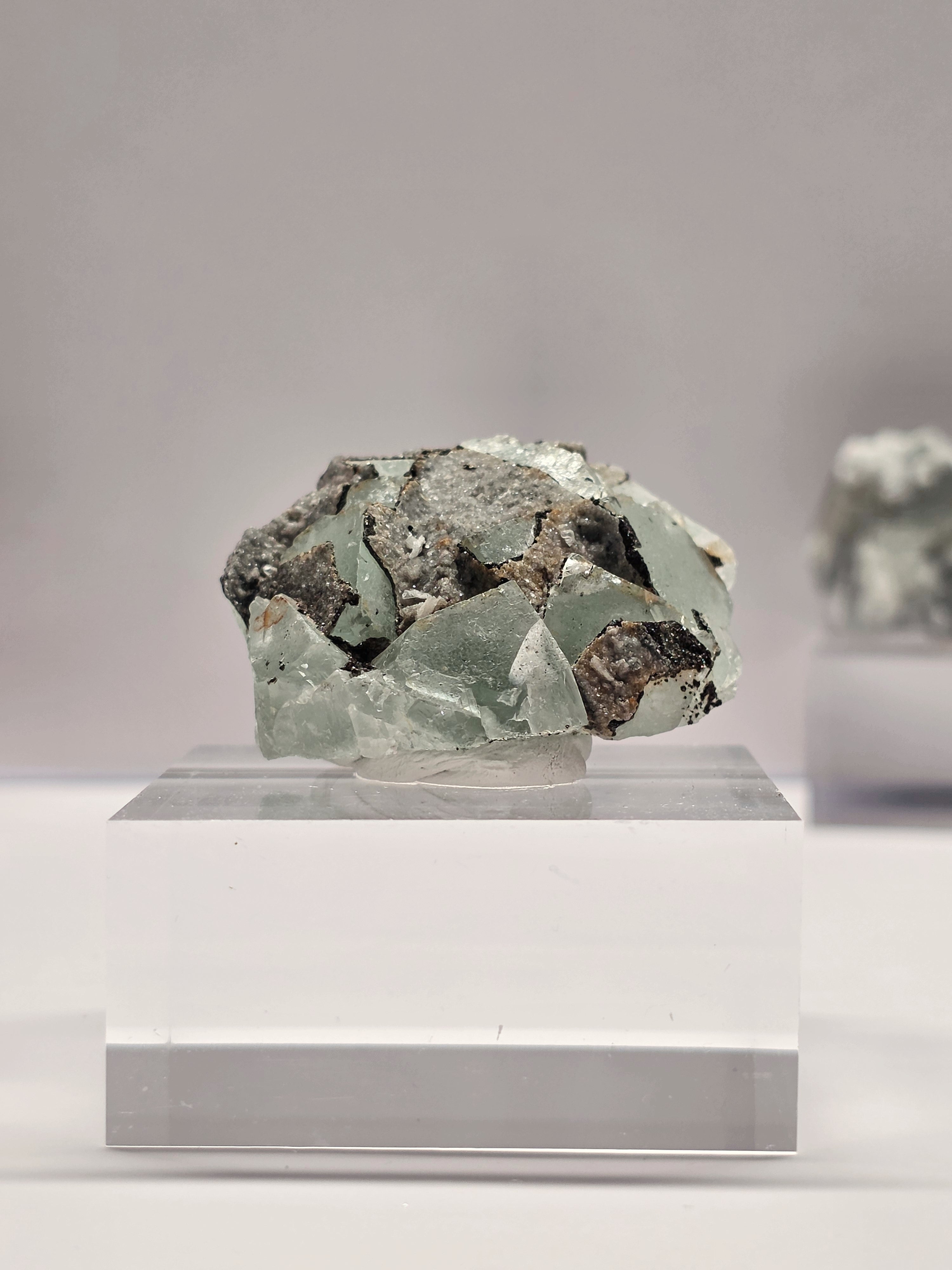 Specimen No. 023