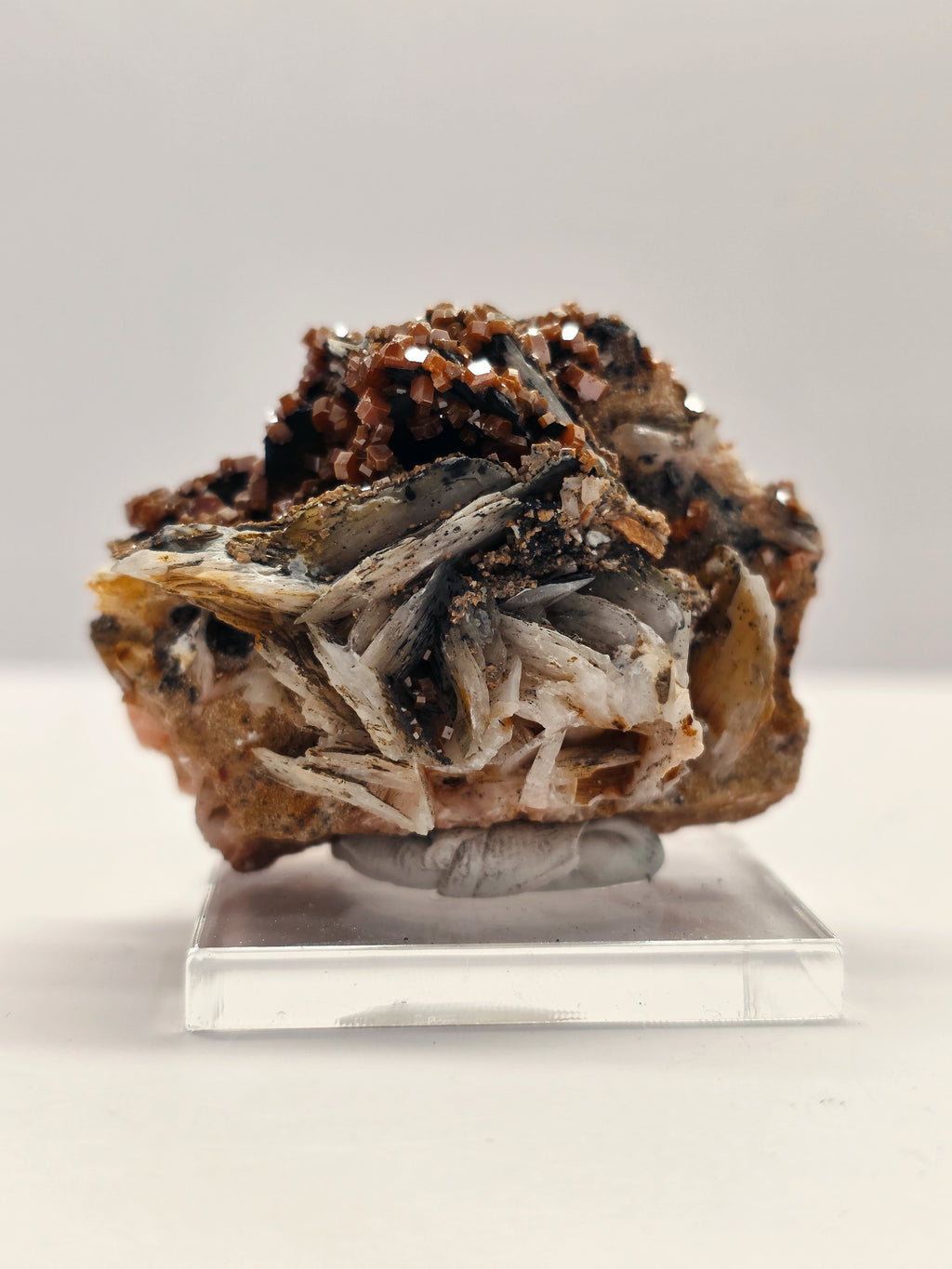 Specimen No. 208