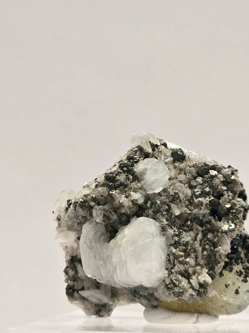 Specimen No. 020