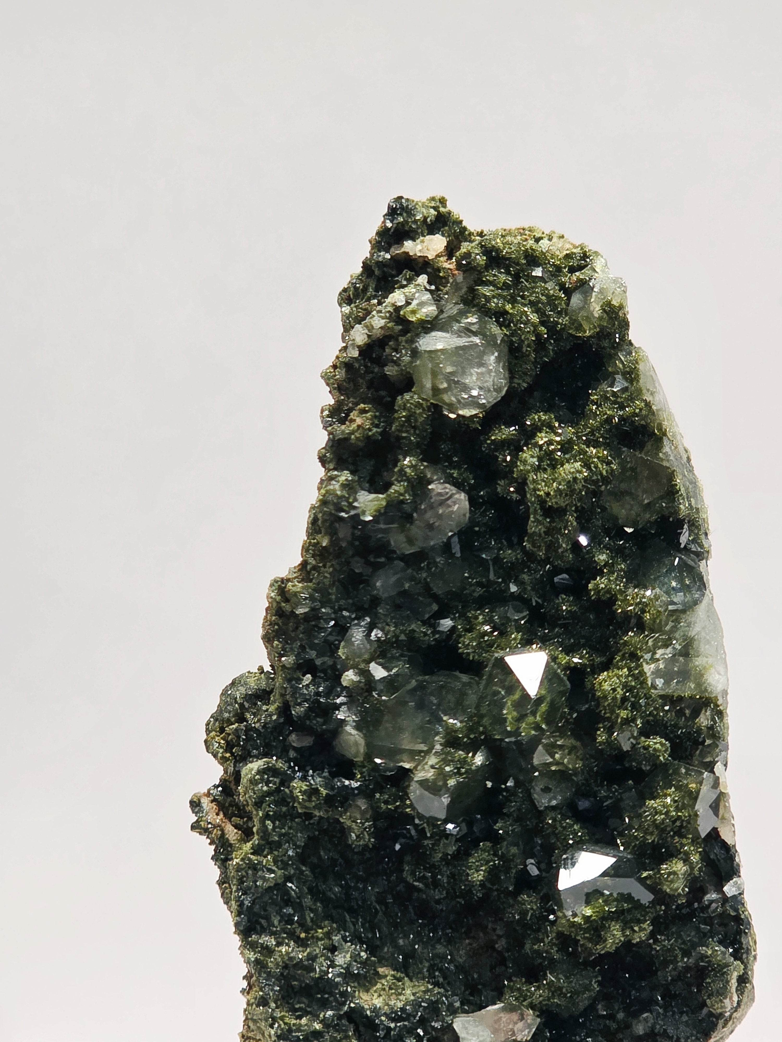 Specimen No. 043