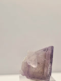 Specimen No. 174