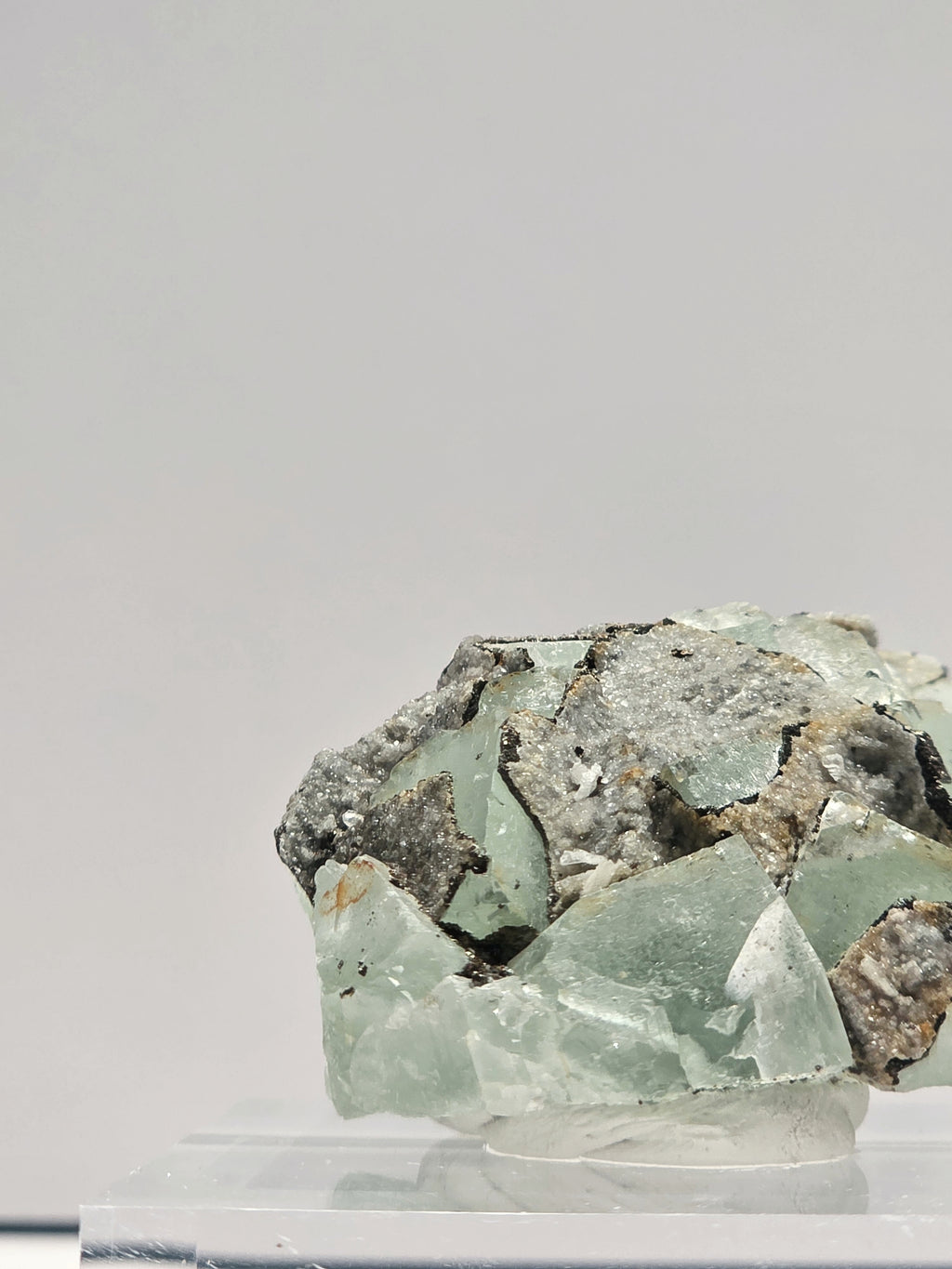 Specimen No. 023