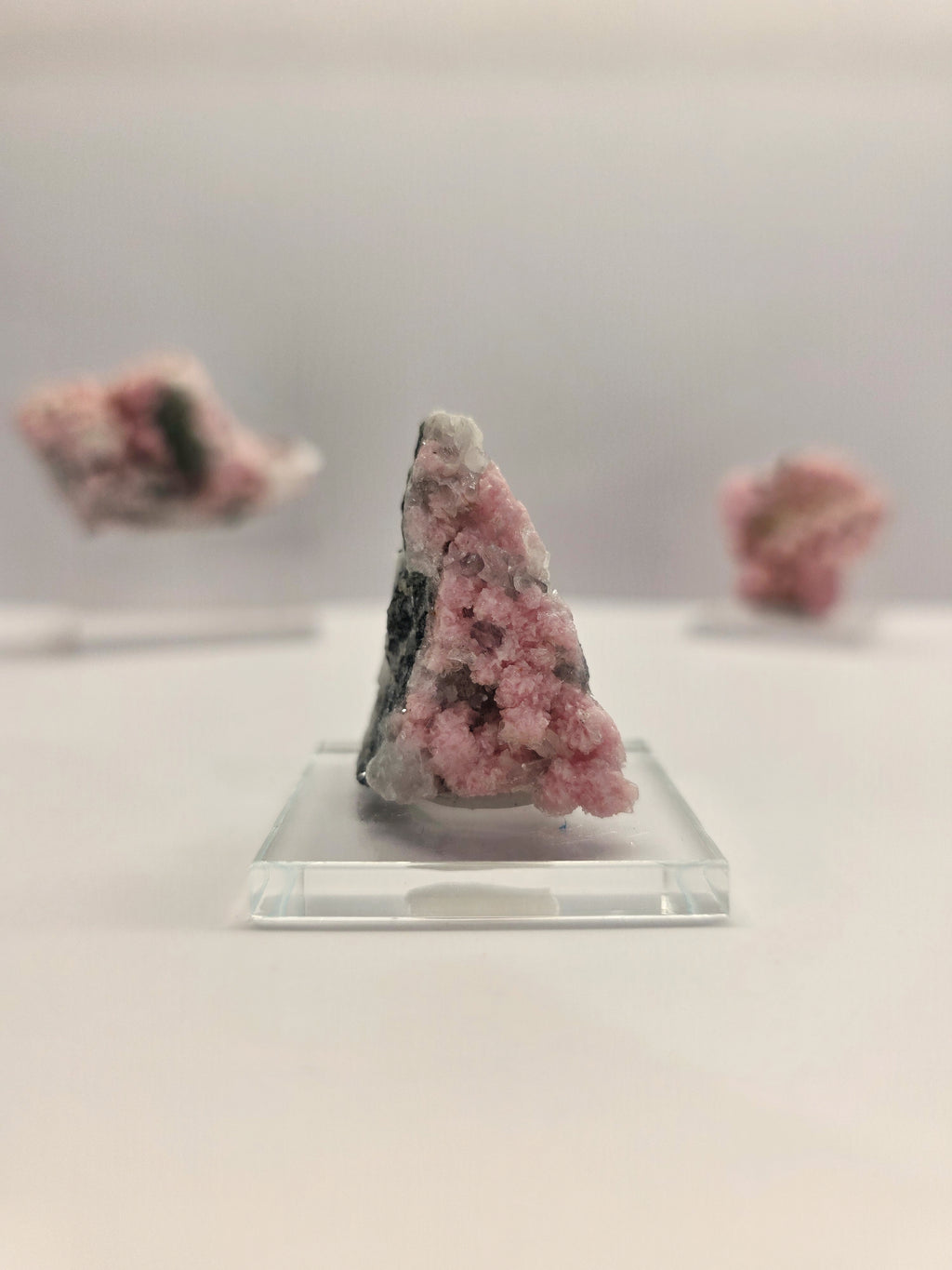 Specimen No. 142