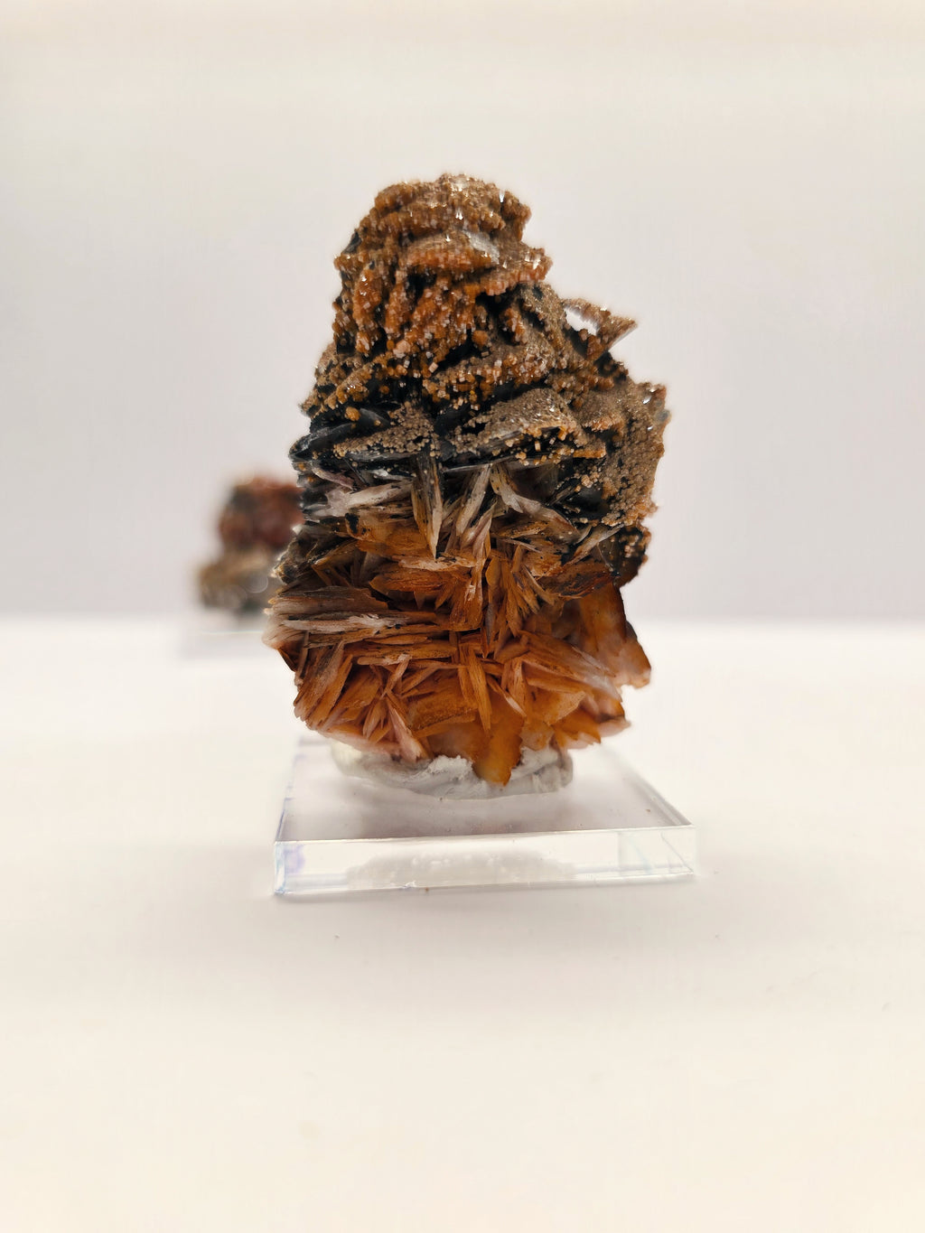 Specimen No. 212