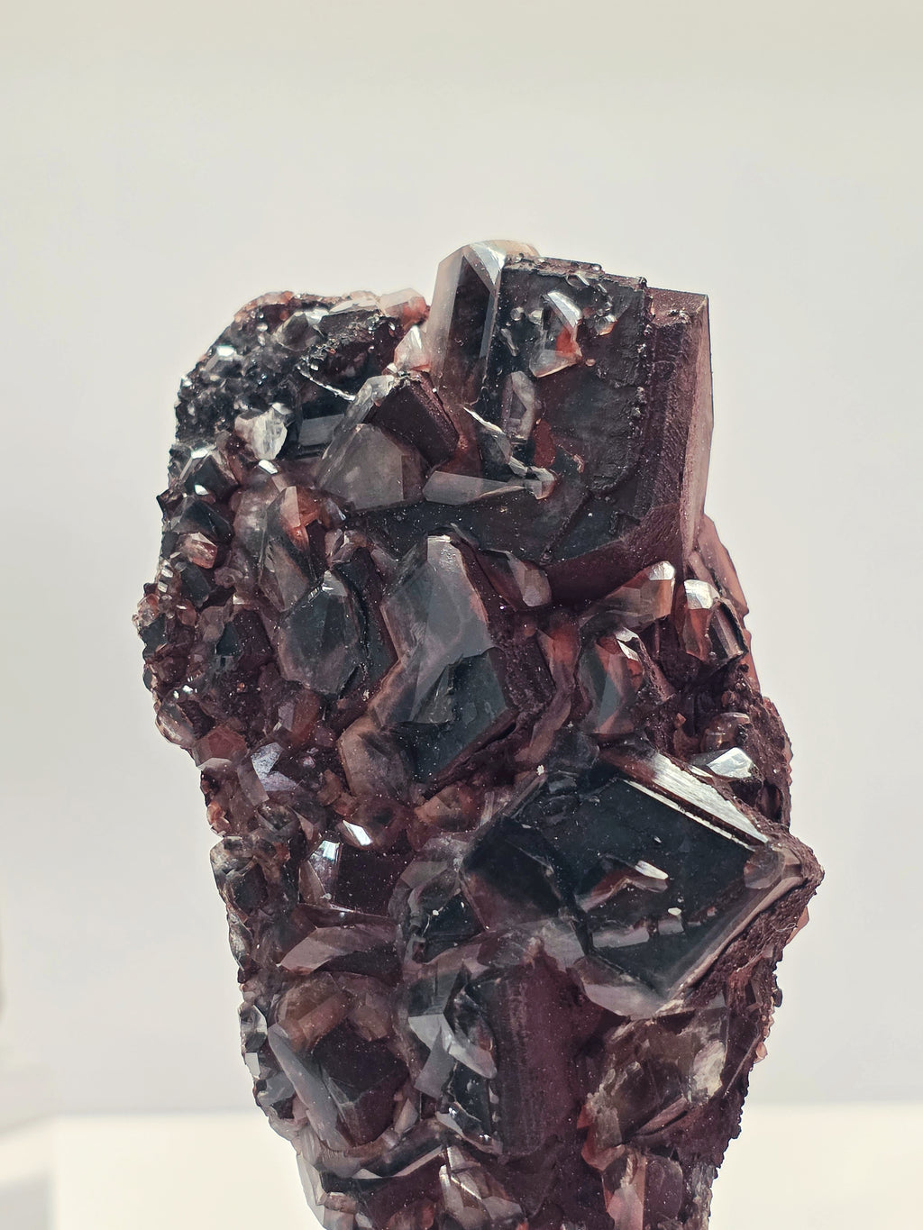 Specimen No. 077