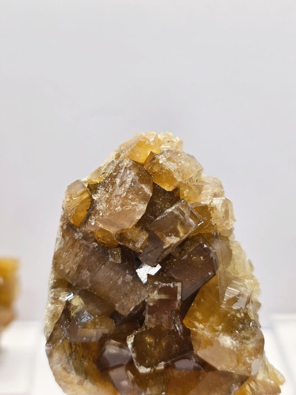Specimen No. 198