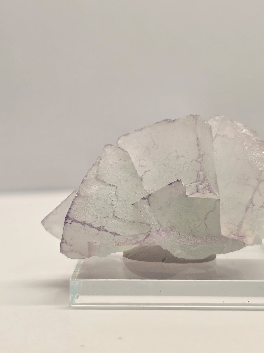 Specimen No. 177