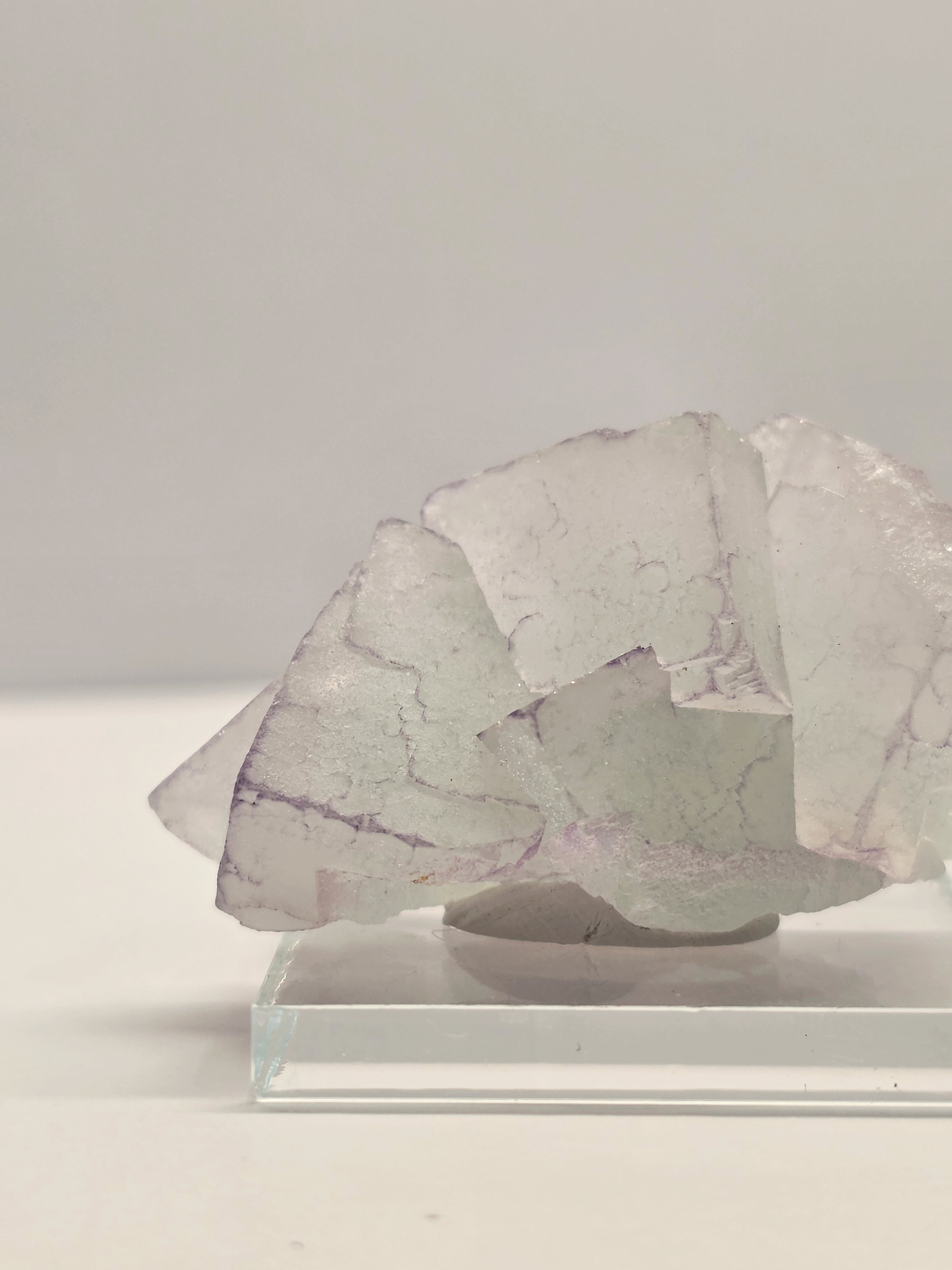 Specimen No. 177