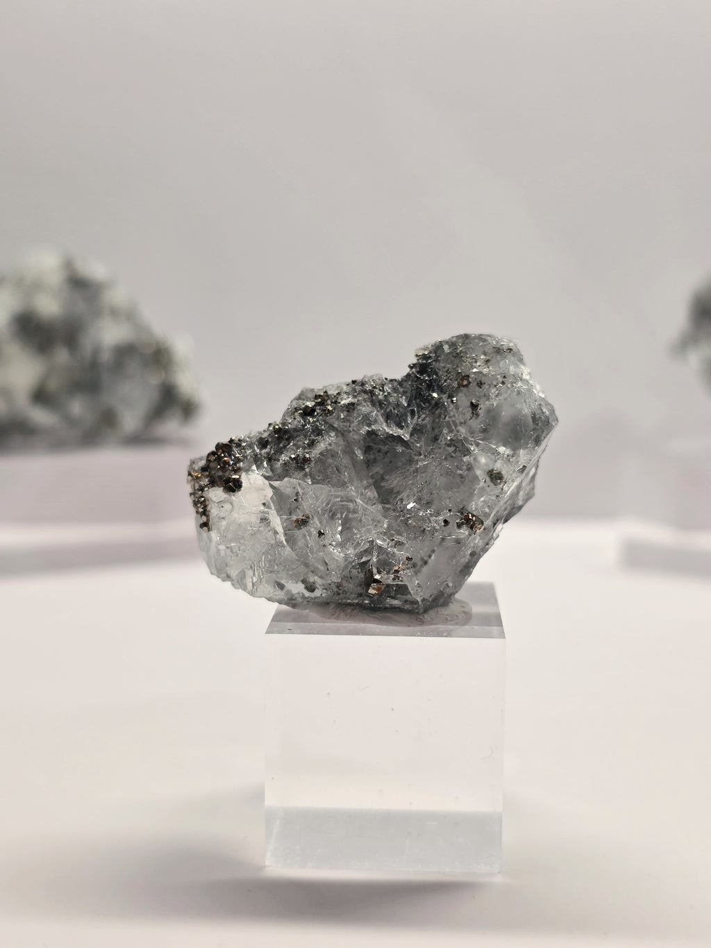 Specimen No. 105