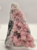 Specimen No. 142