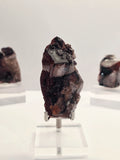 Specimen No. 074