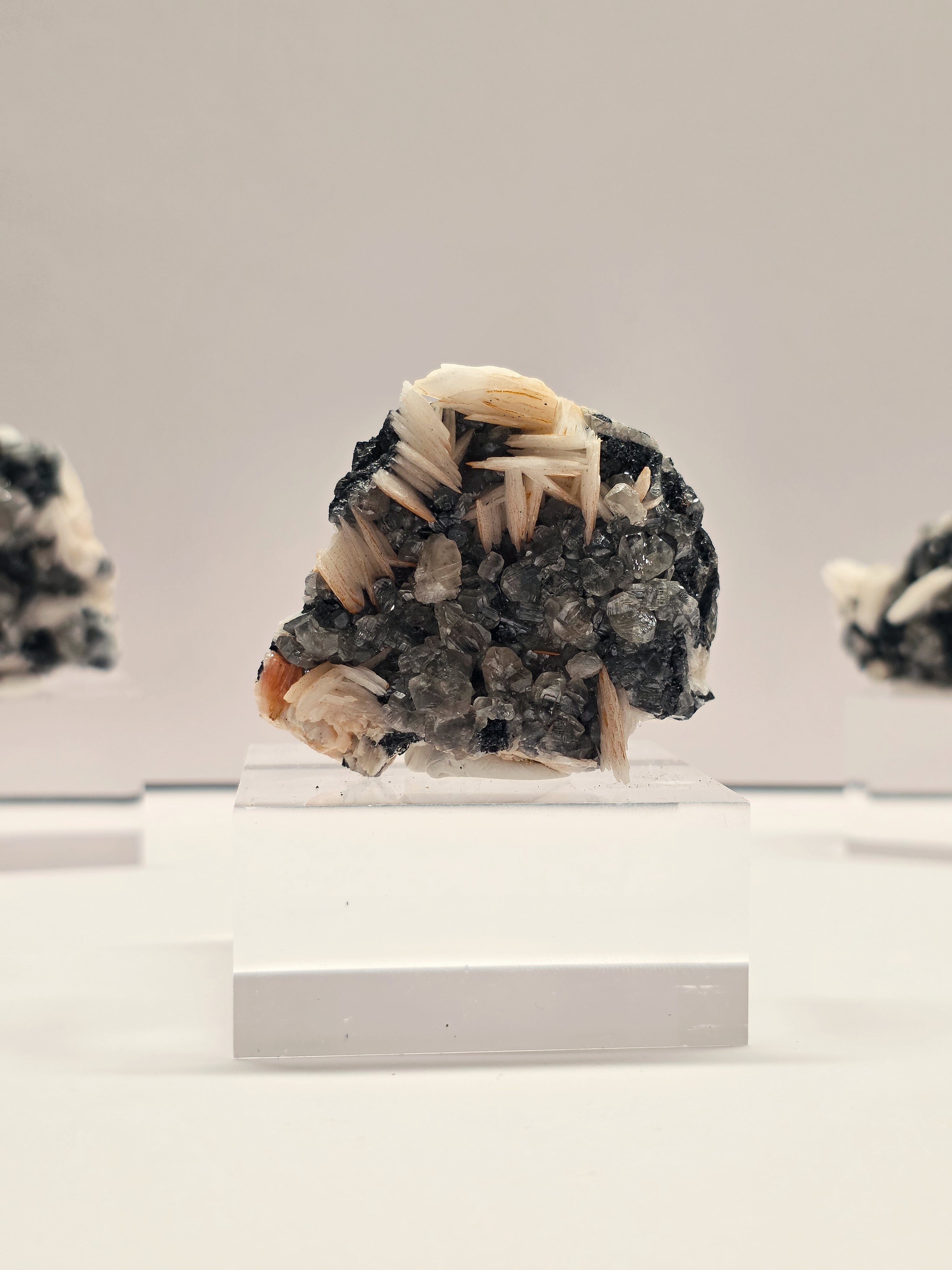 Specimen No. 038