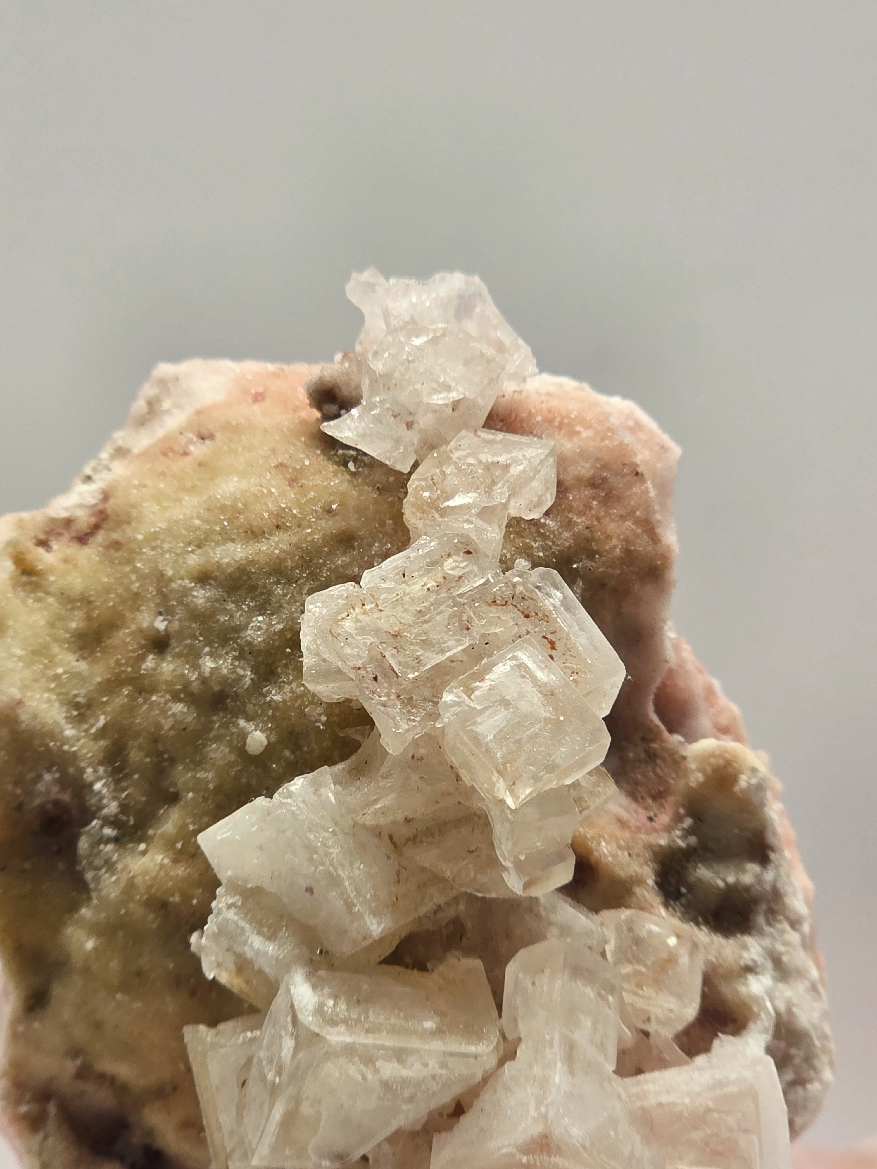 Specimen No. 014