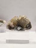 Specimen No. 028