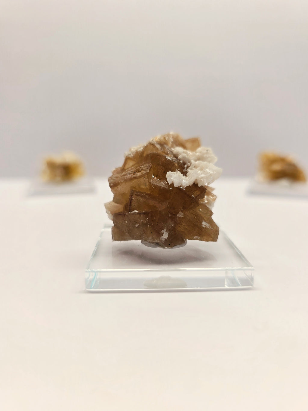 Specimen No. 195