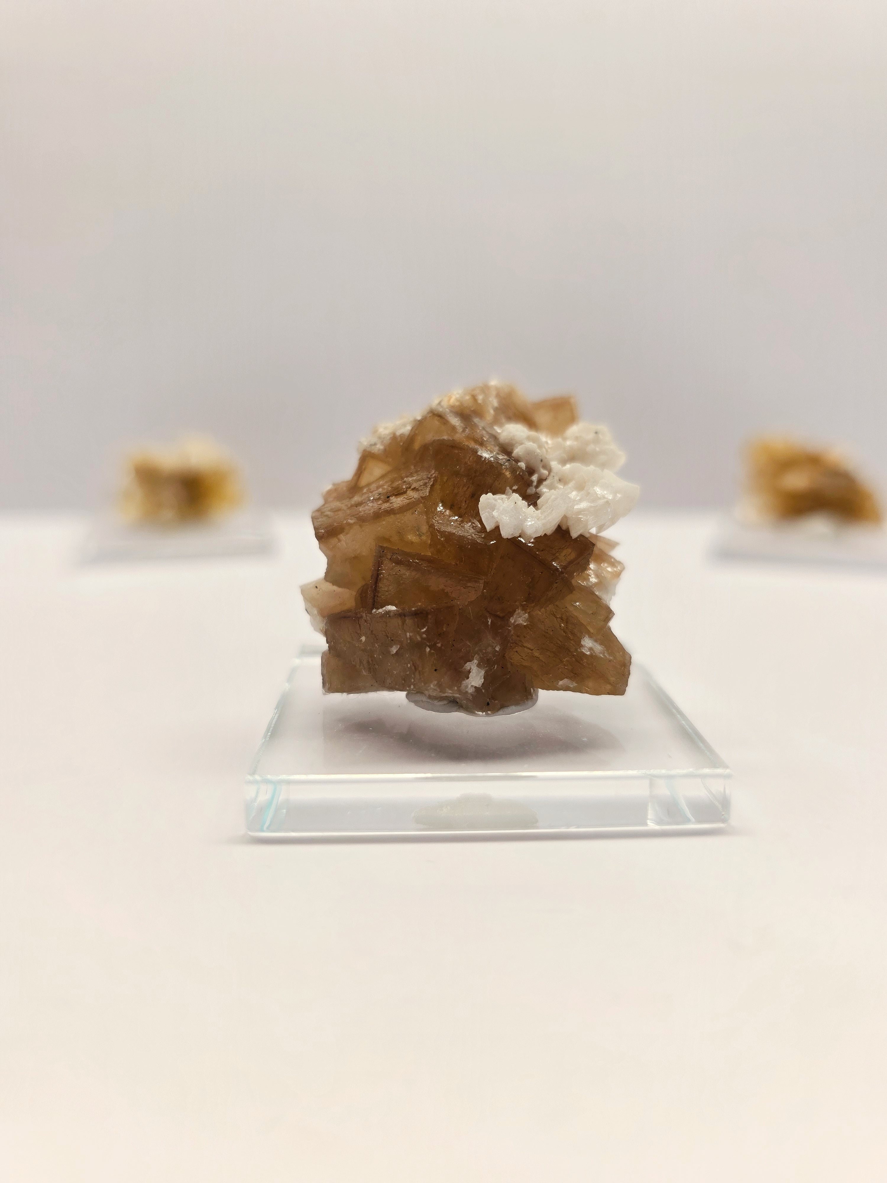 Specimen No. 195
