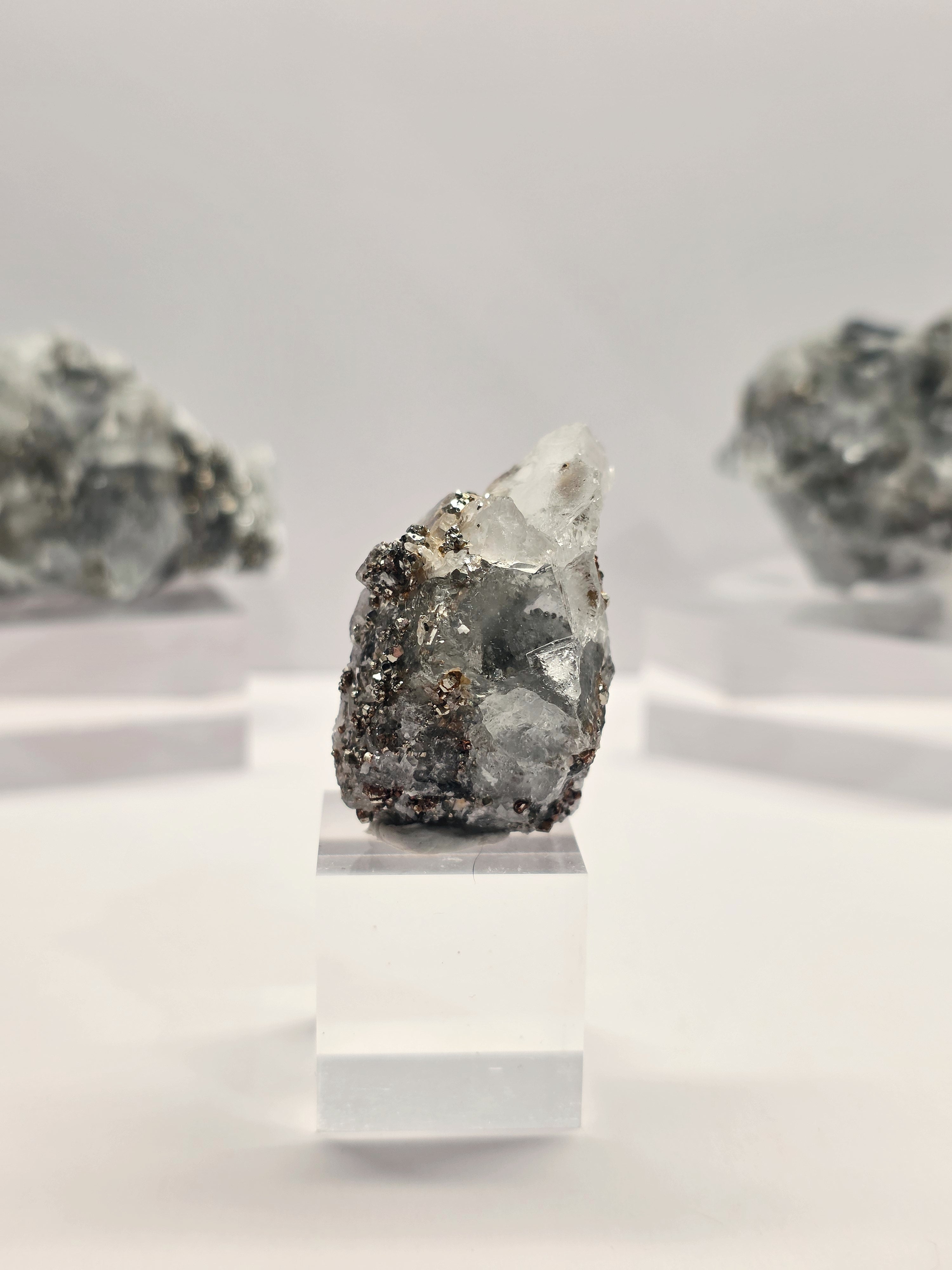 Specimen No. 098