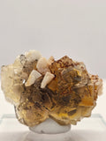 Specimen No. 192