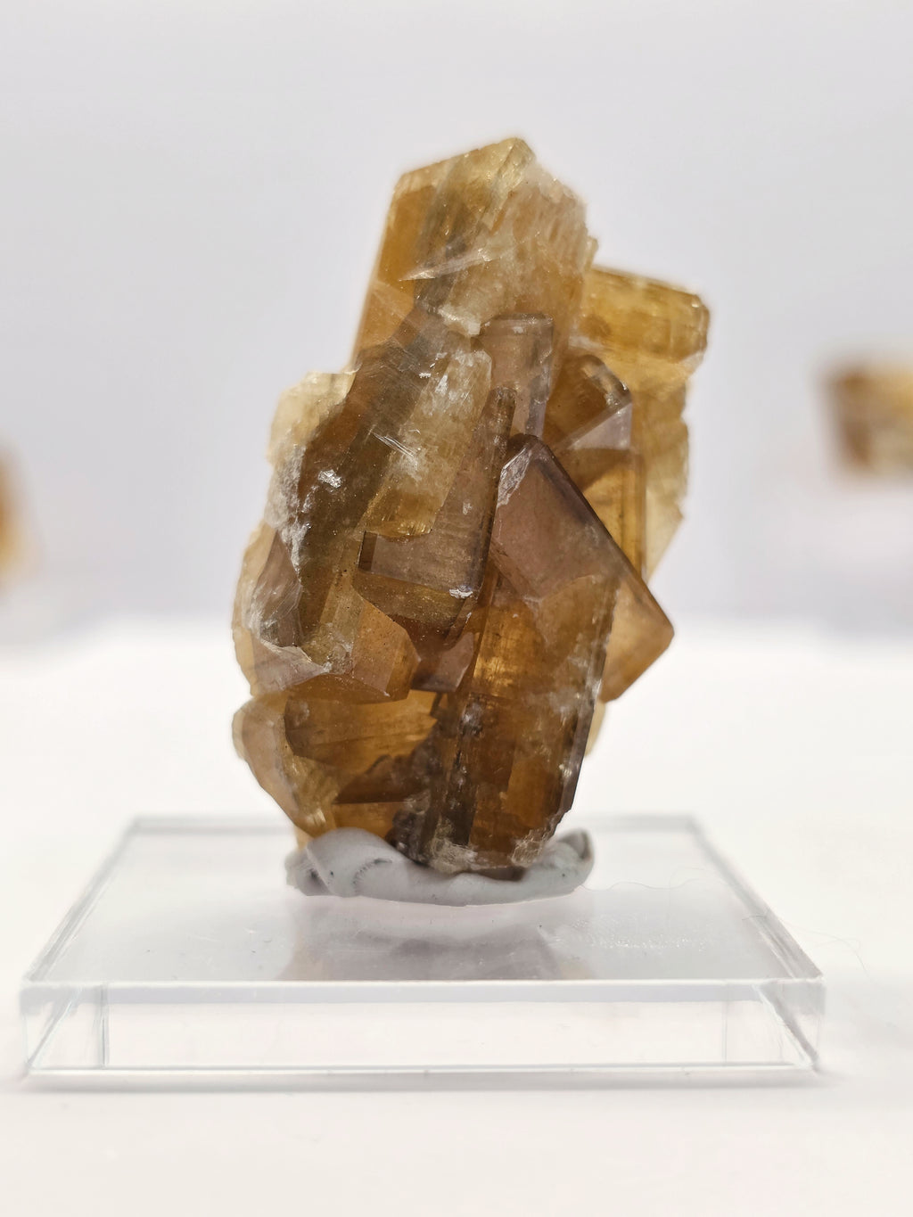 Specimen No. 201