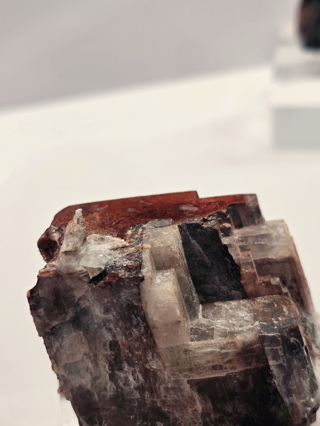 Specimen No. 070