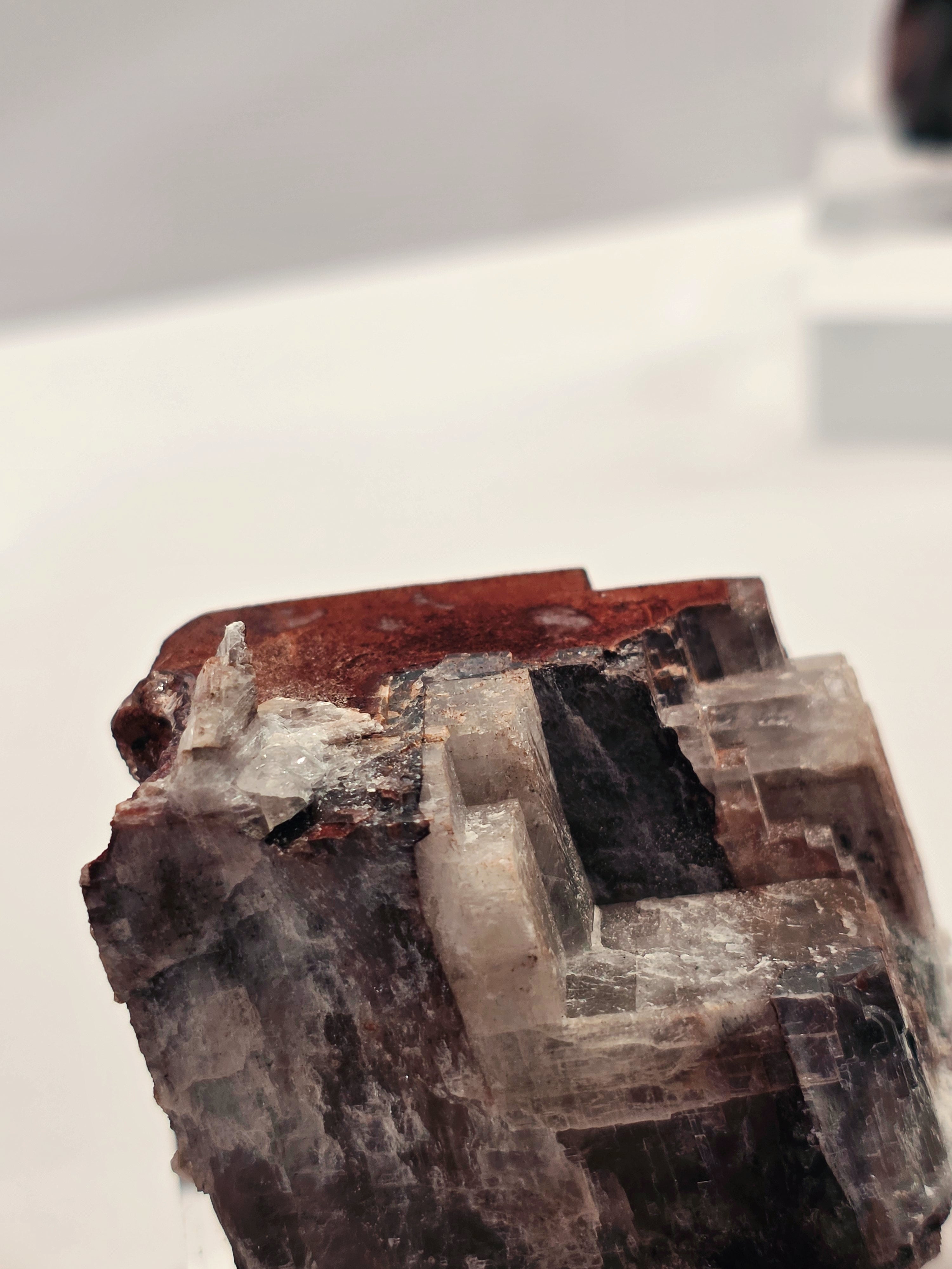 Specimen No. 070