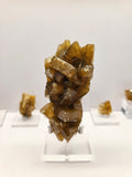 Specimen No. 196