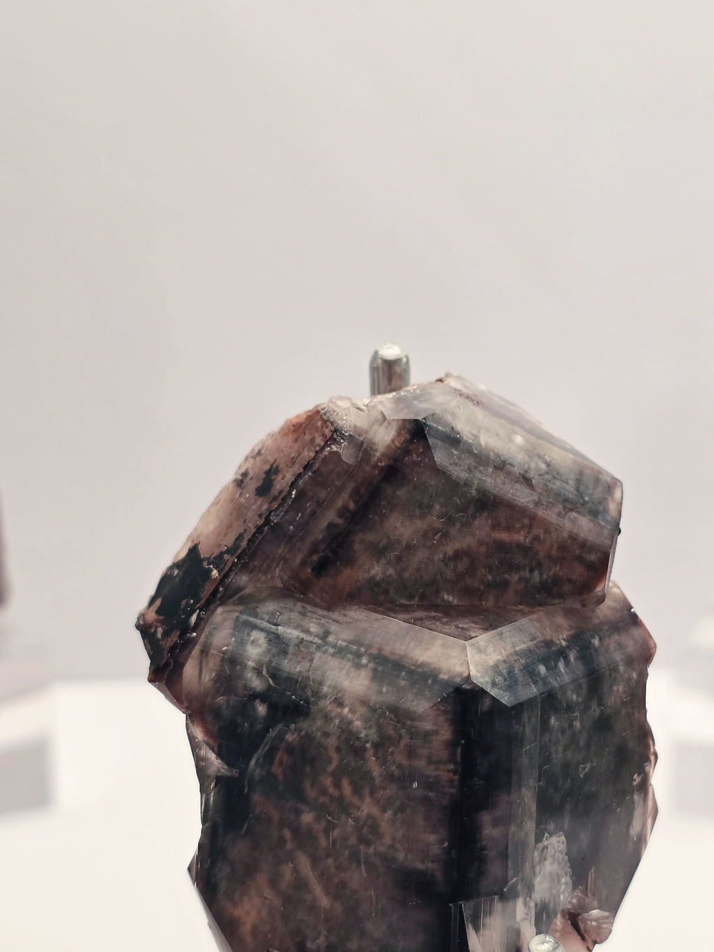 Specimen No. 073