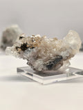 Specimen No. 221