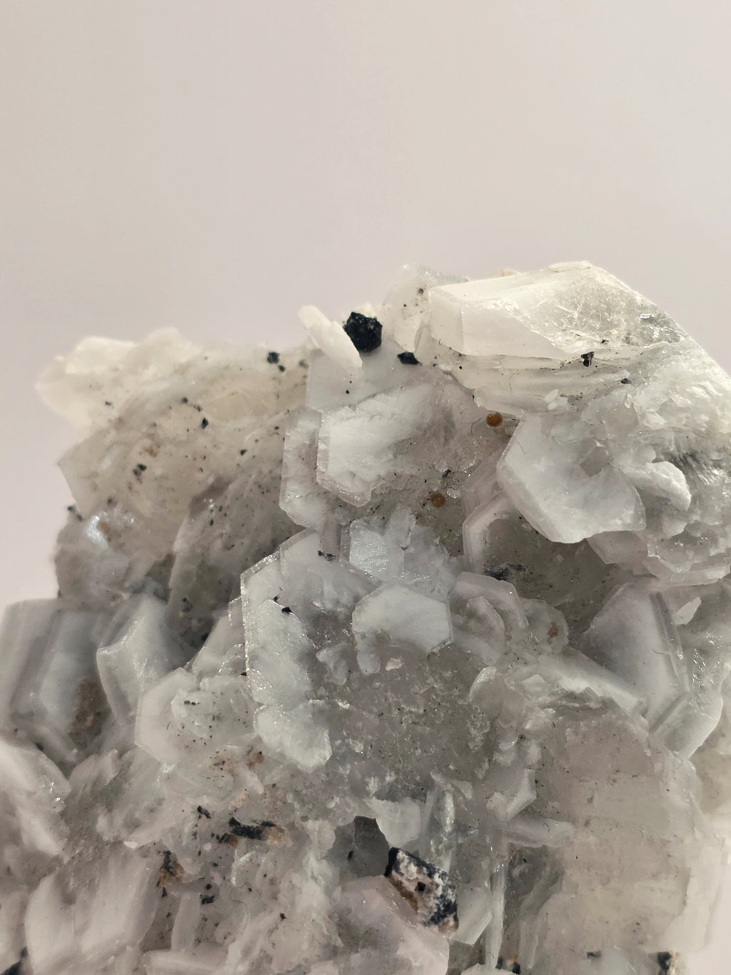 Specimen No. 085