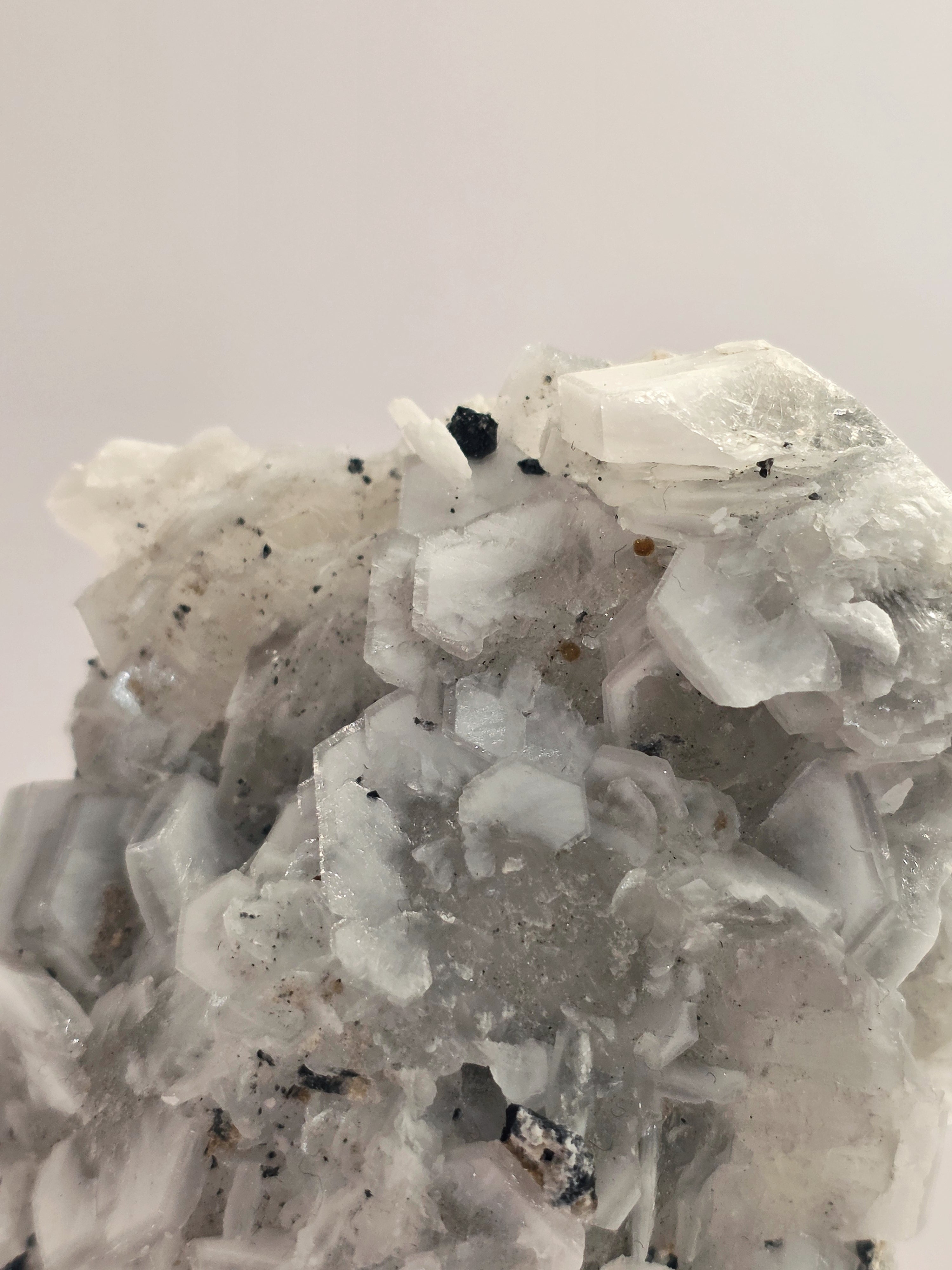 Specimen No. 085