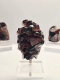 Specimen No. 075