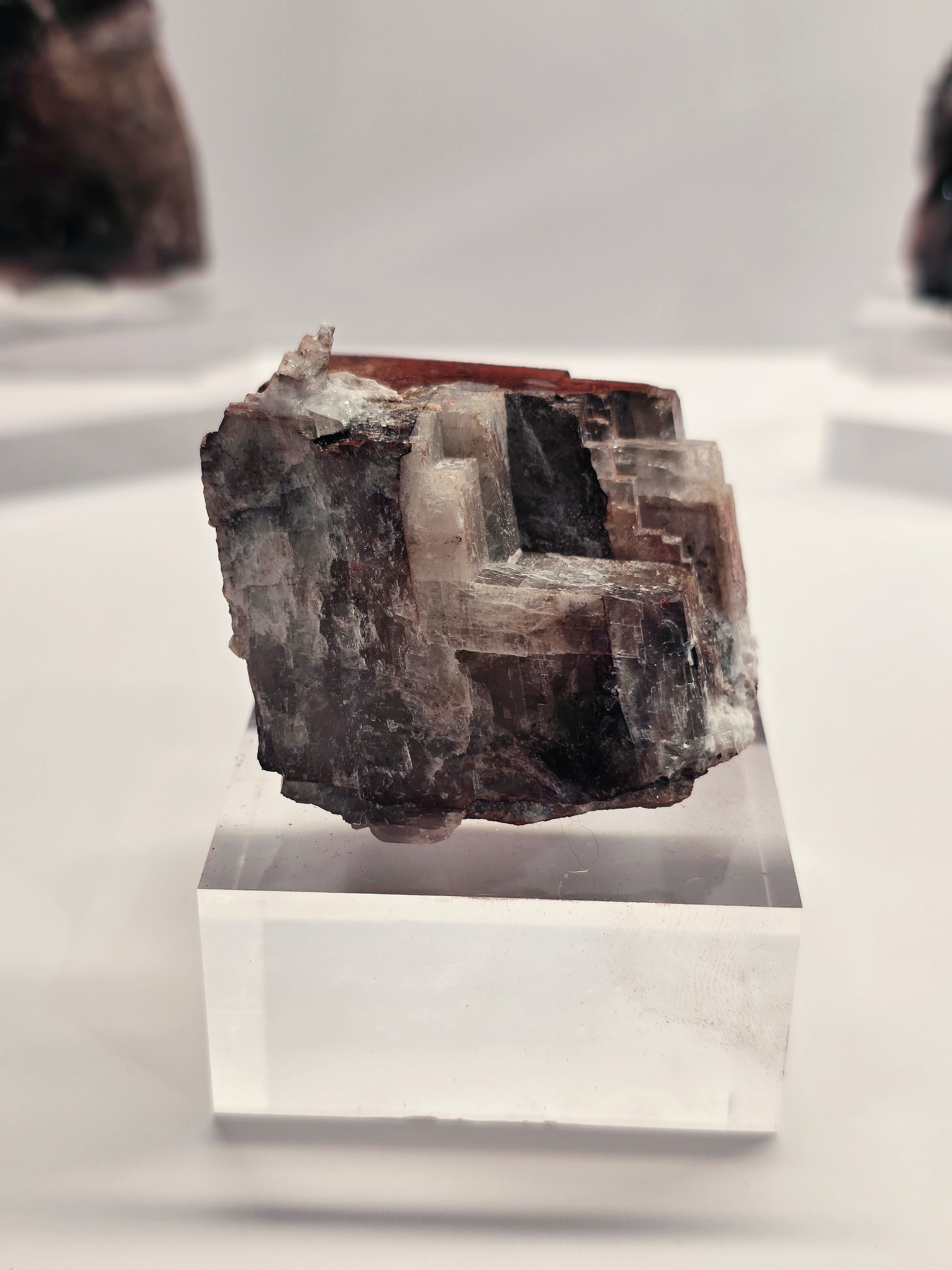 Specimen No. 070